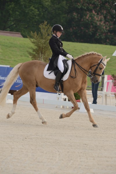 2016_006_jardy__d60_8288