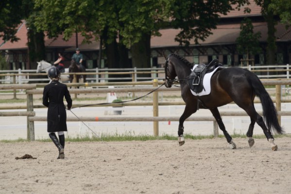 2016_006_jardy__d60_8384