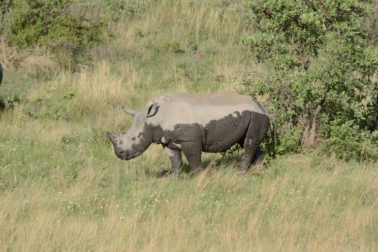 2016_11_afs__d60_8902