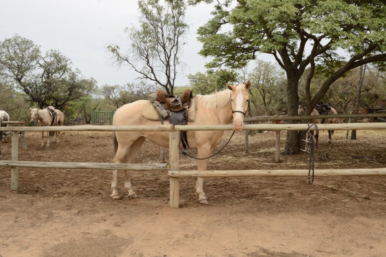 2016_11_afs__d60_8964_01