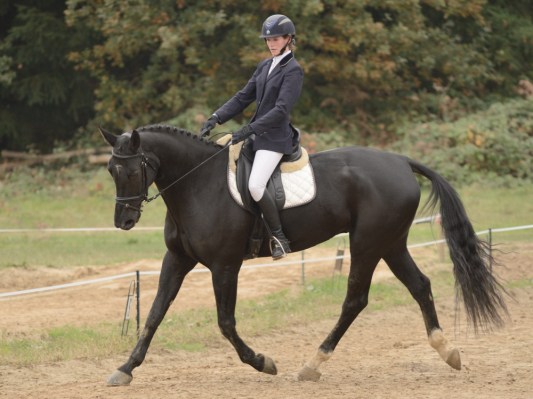 2016_10_bonnevil__d60_8574