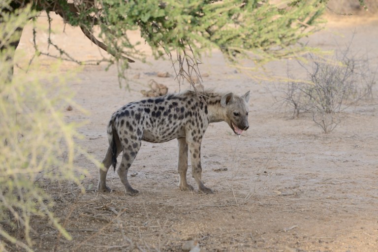 2016_11_afs__d60_9088