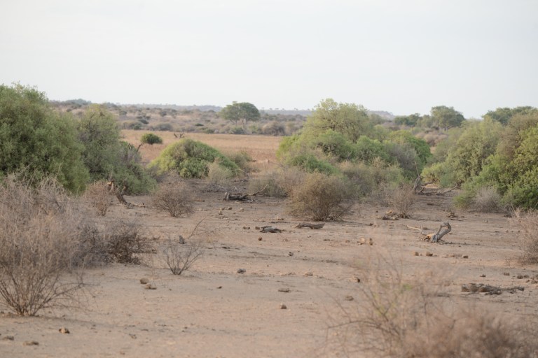 2016_11_afs__d60_9099