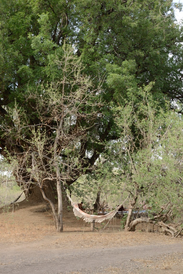 2016_11_botswana__d60_9174