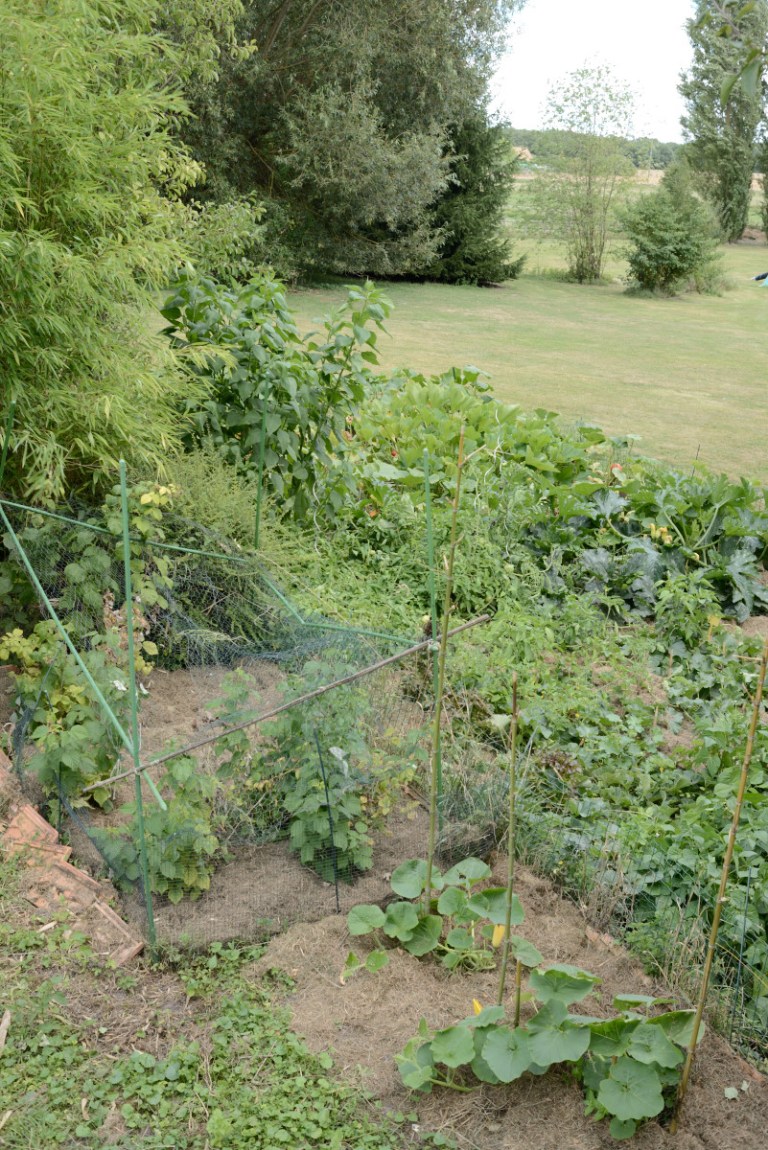 2017_07_mocsouri__D60_0604