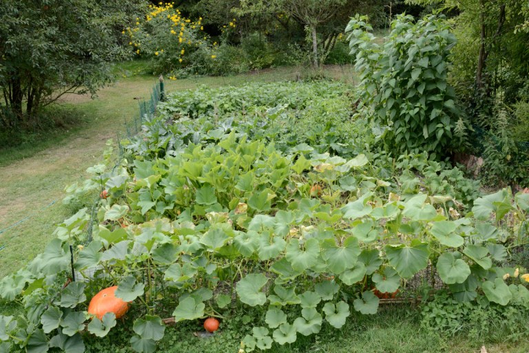 2017_07_mocsouri__D60_0606