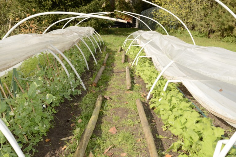 2017_11_Moc__D60_1019