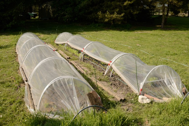 2018_04_moc__D60_1576