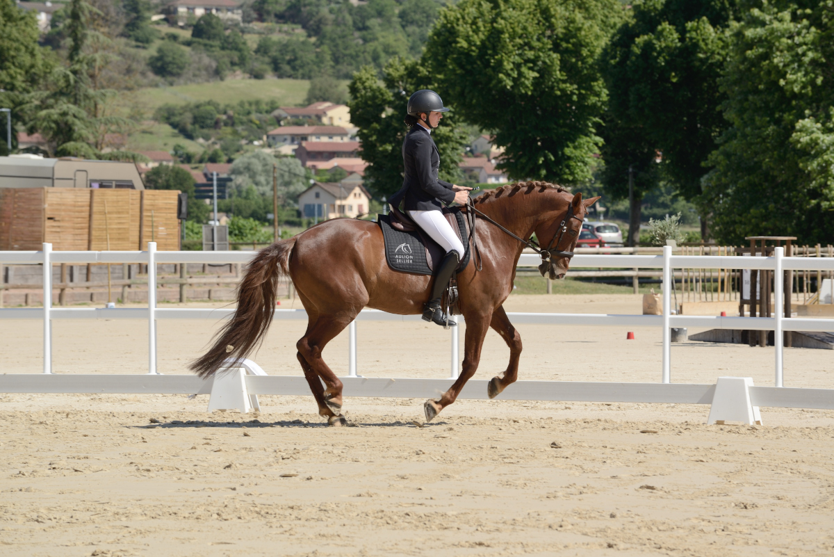 D60_2009_Cluny