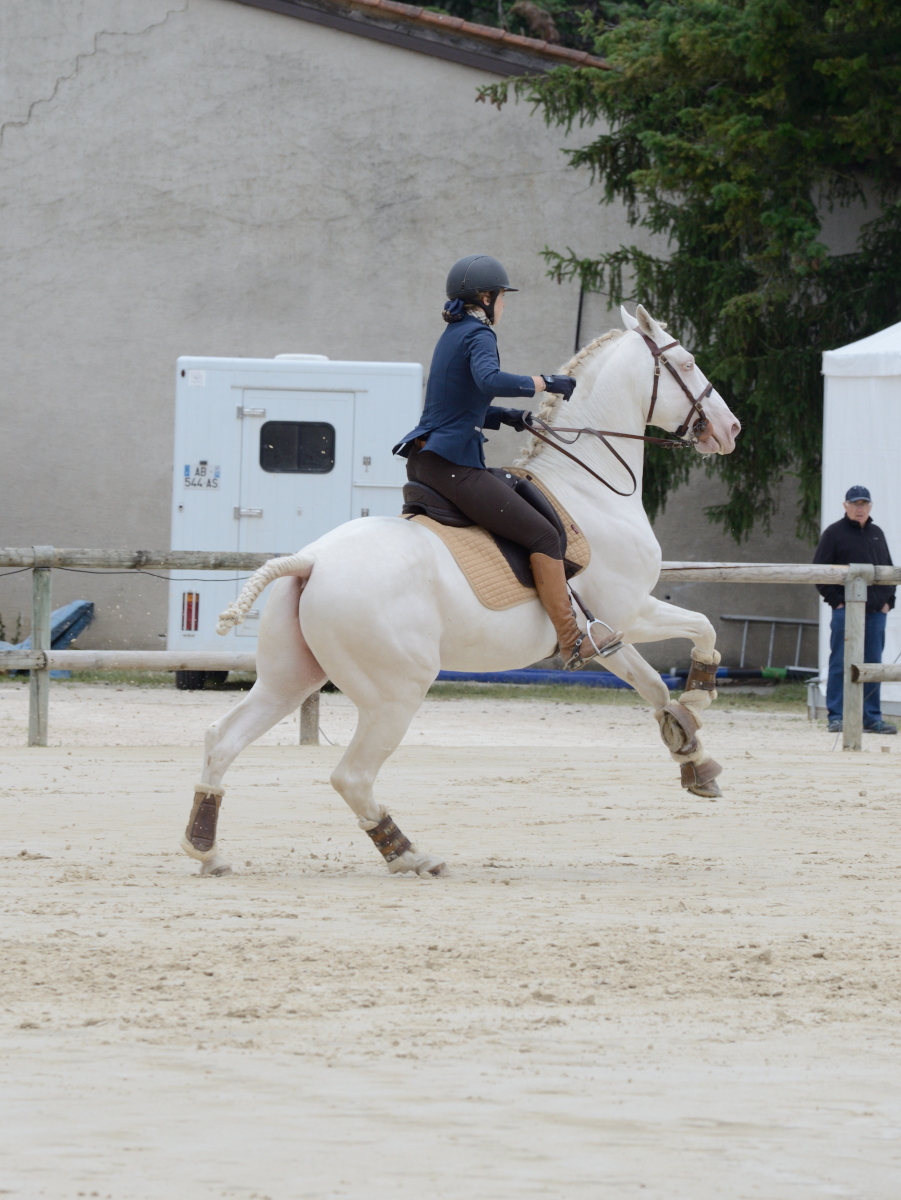 D60_2090_Cluny