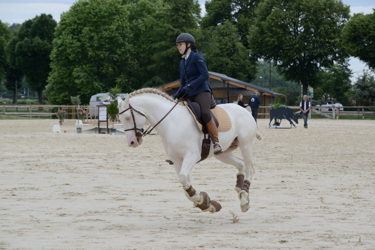 D60_2094_Cluny