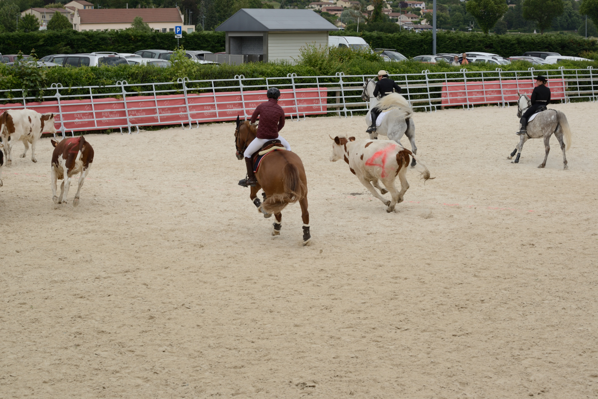 D60_2118_Cluny