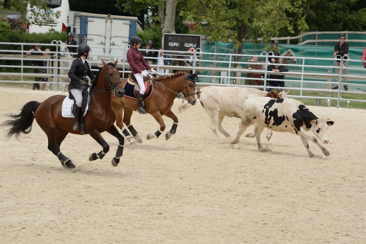 D60_2120_Cluny