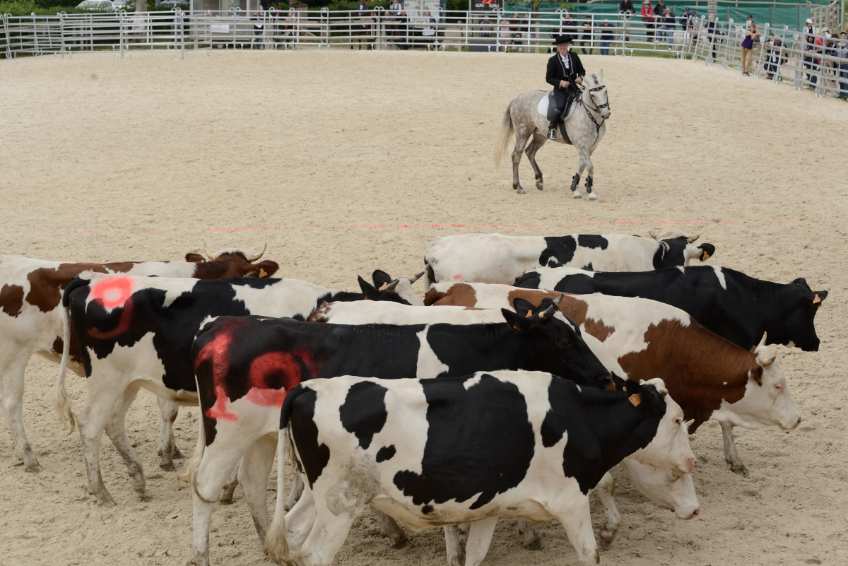 D60_2123_Cluny