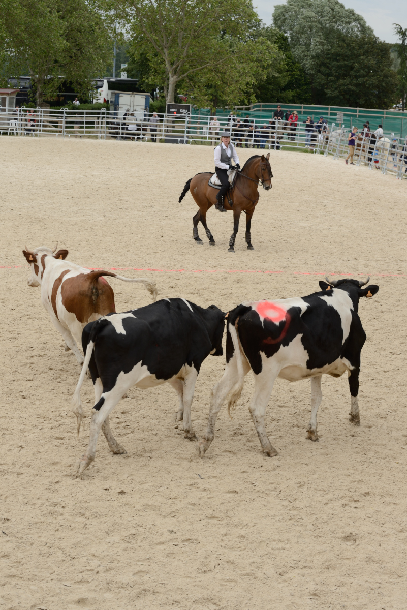 D60_2129_Cluny