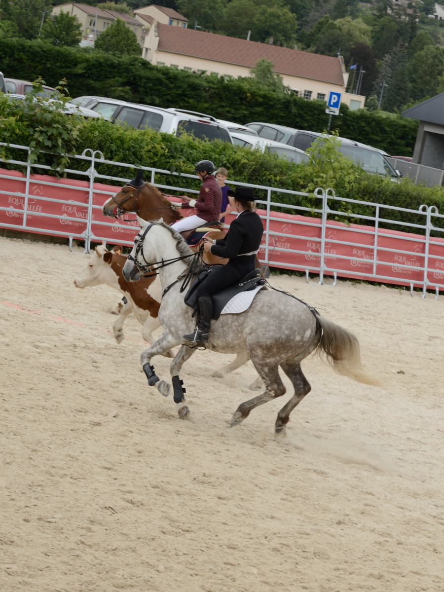 D60_2139_Cluny