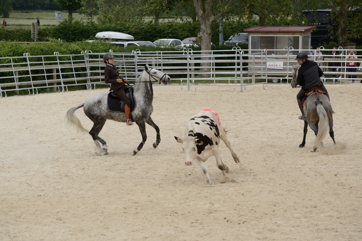 D60_2161_Cluny