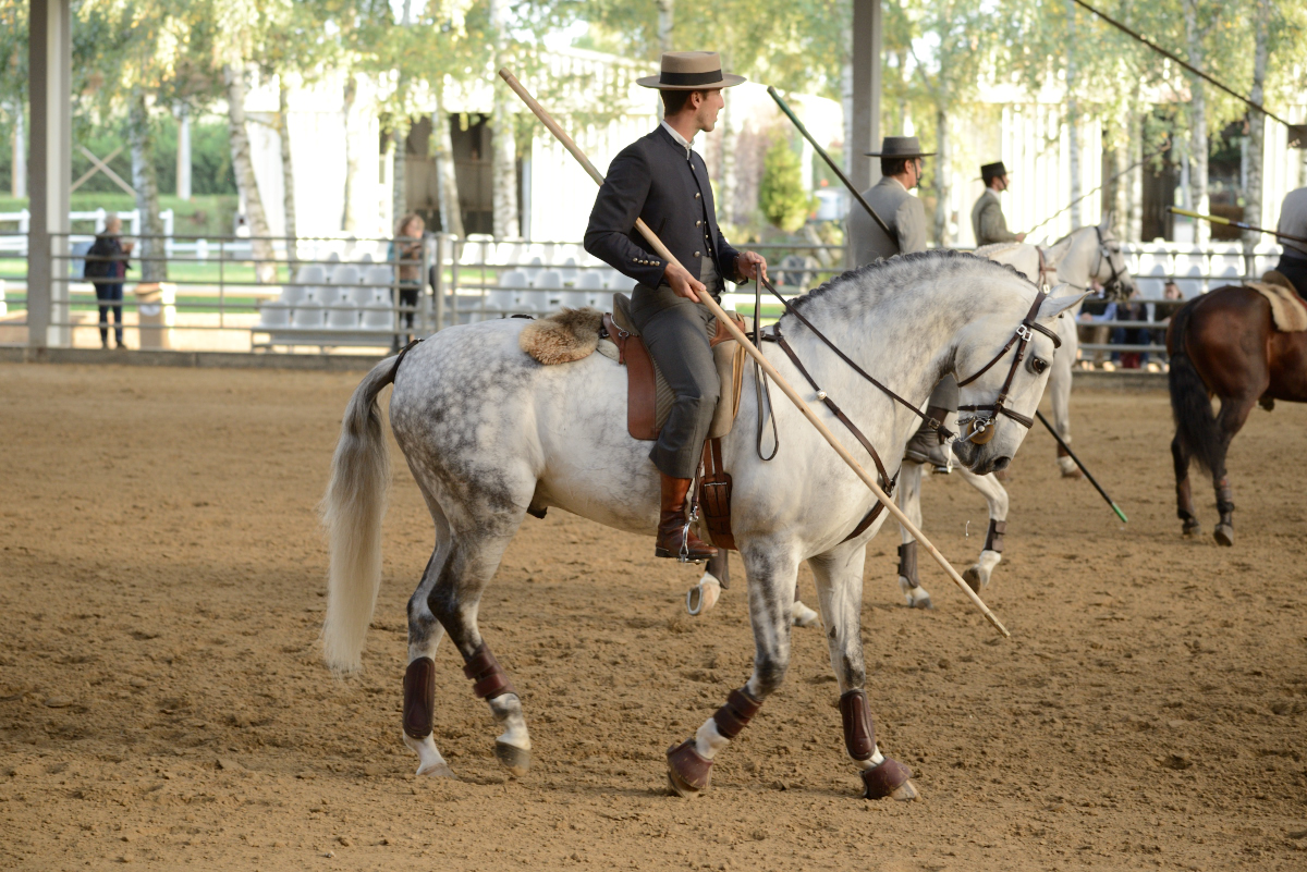 D60_2732_workin equi