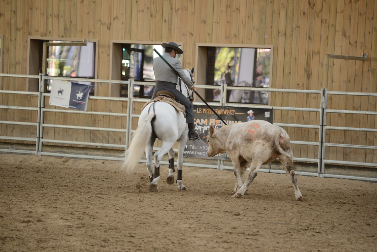 D60_2735_workin equi