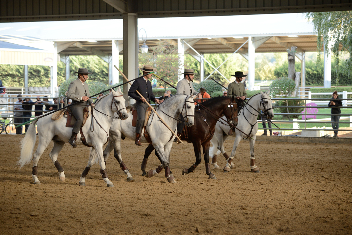 D60_2764_workin equi