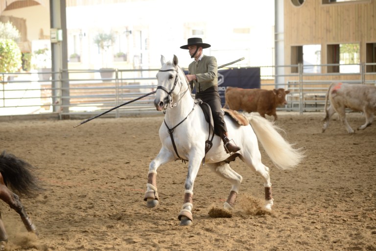 D60_2793_workin equi