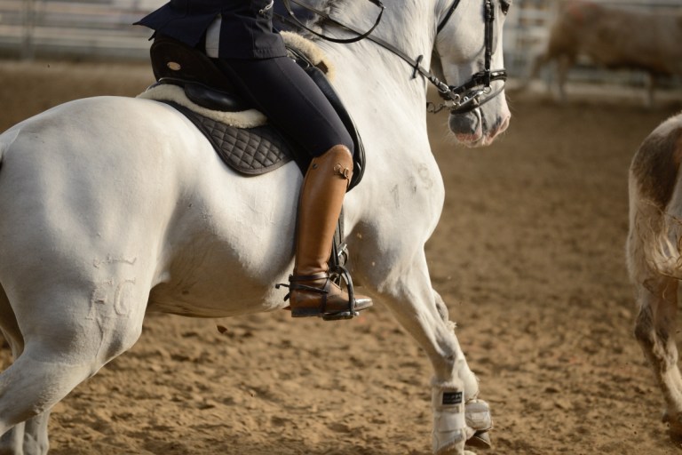 D60_2806_workin equi