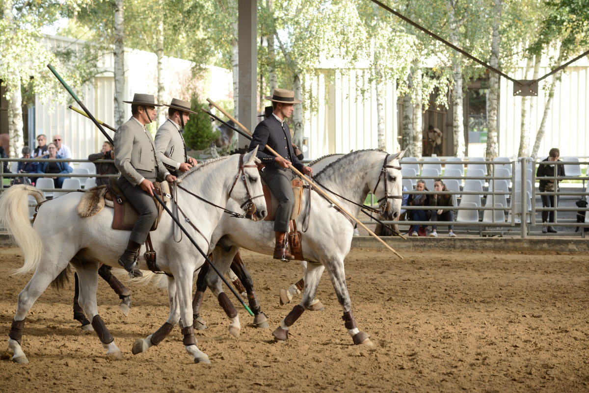 D60_2820_workin equi