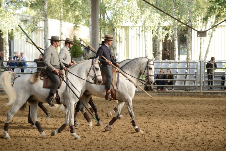 D60_2820_workin equi